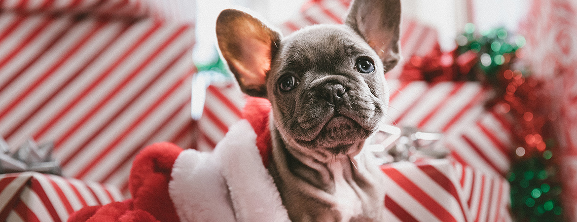 メインビジュアル4